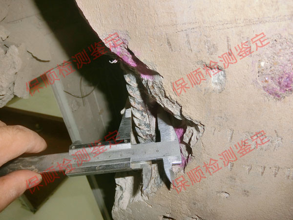 房屋構件配筋檢測 房屋構件配筋檢測